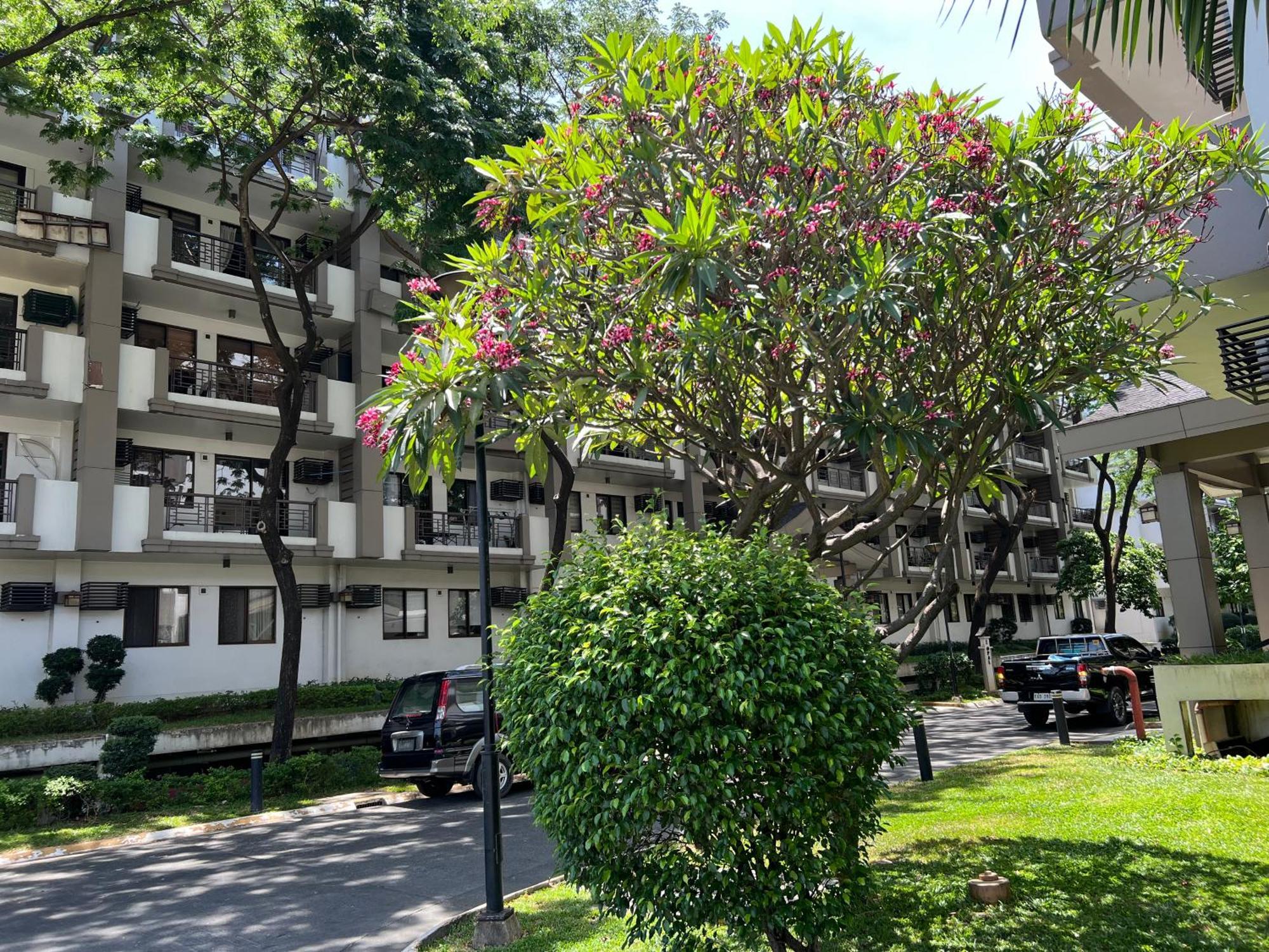 Stunning 2Br Apt, 65 Sq M Netflix At Rosewood Pointe Residences Near Bgc Manila Esterno foto